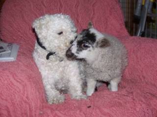 olympus-digital-camera-87