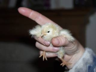 olympus-digital-camera-88