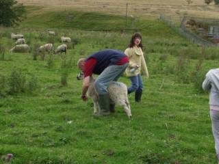 olympus-digital-camera-72