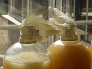 olympus-digital-camera-78