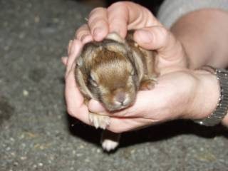 olympus-digital-camera-77