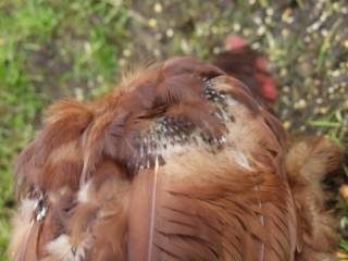 olympus-digital-camera-66