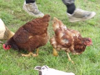 olympus-digital-camera-65