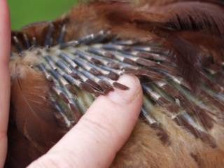 olympus-digital-camera-67