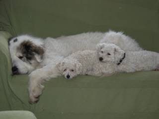 olympus-digital-camera-26