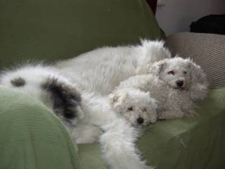 olympus-digital-camera-25