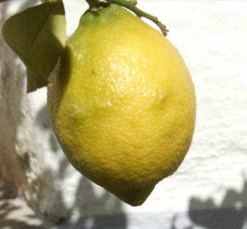 417609166_ae21a42fb9-7565963