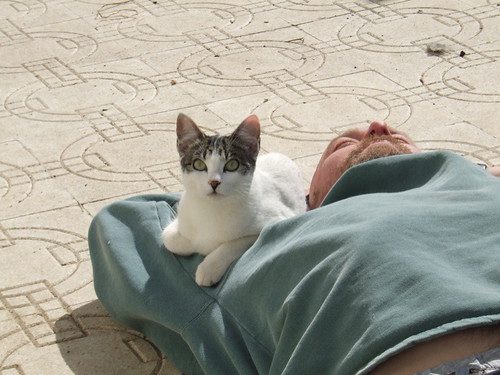 417609254_e13f13f03c-3472581