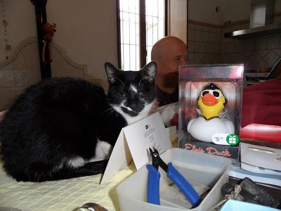 pirata-xmas-2010-3752204