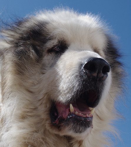 mar_30 by ian_pullen