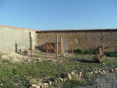 chick-house2-9426117