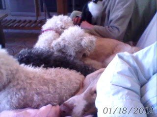 arcsoft_imagen4-8456938