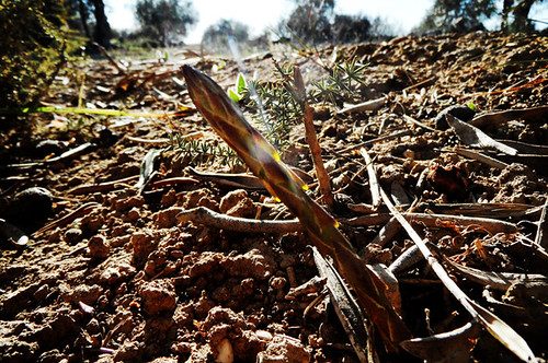 feb_19 by ian_pullen