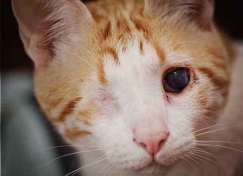 mar_24 by ian_pullen