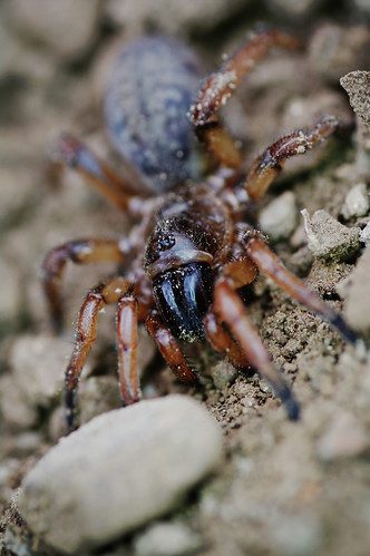 apr_25 by ian_pullen