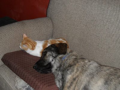 roland_bently-3956836