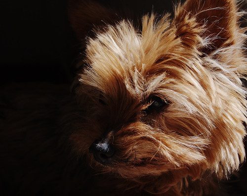 jul_10 by ian_pullen