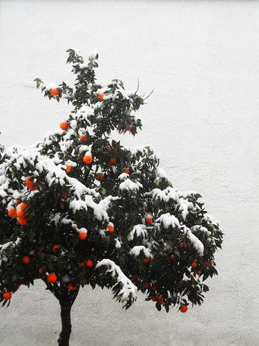 feb_28 by ian_pullen