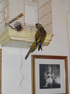 sam_3400_1000-1121407