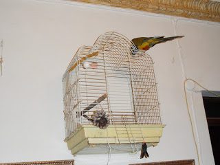 sam_3403_1000-5024664