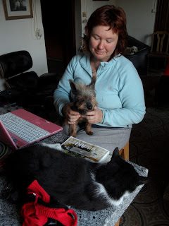 sam_3702_1000-8326354