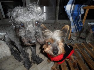 sam_3708_1000-1704518