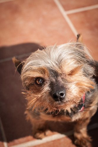 may_21 by ian_pullen