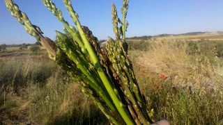 2013-06-02_08-12-14_726-2449468