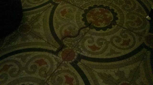 2013-07-08_22-36-18_243-2813409