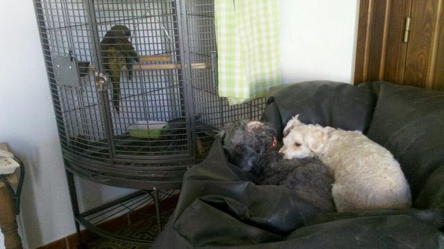 2013-07-13_09-39-12_227-1324591