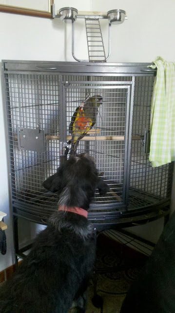 2013-07-13_09-47-24_624-6225321