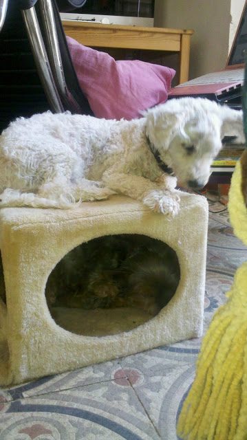 2013-07-18_15-05-29_413-7121061