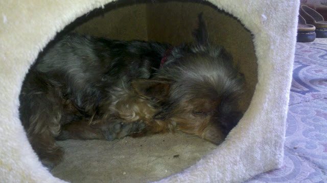 2013-07-18_15-05-51_929-8236366