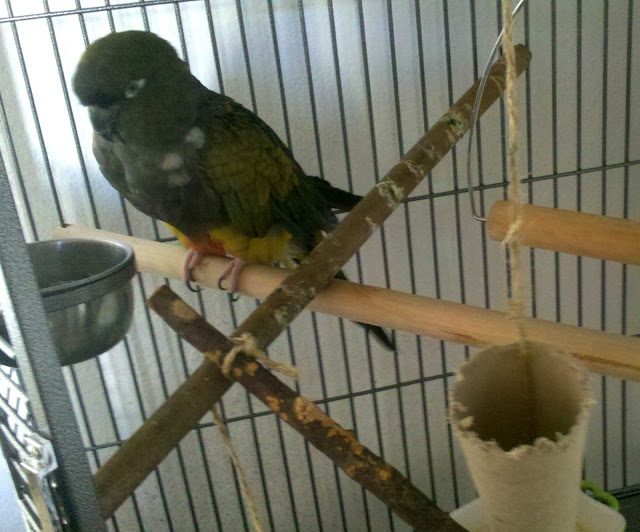 img_20130725_095809-5565903