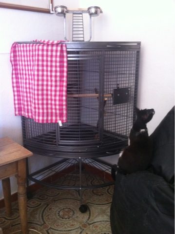 blogger-image-2075260260-2922338