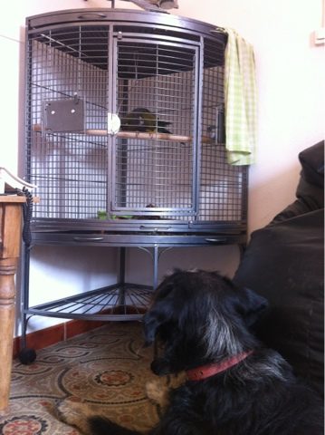 blogger-image-397297393-6579199