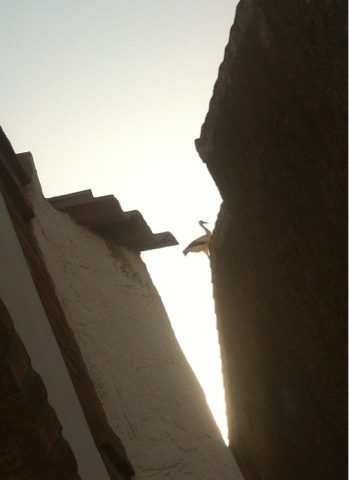 blogger-image-753053328-8376419