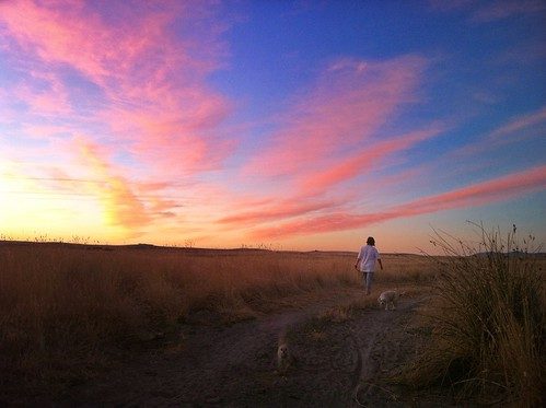 aug_08 by ian_pullen