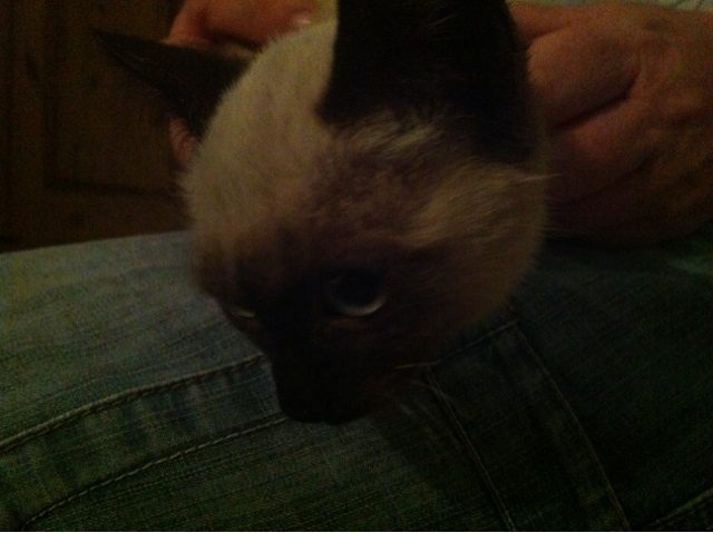 blogger-image-1622266998-8444052