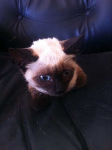 blogger-image-2020665731-1493389