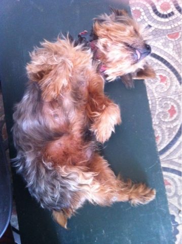 blogger-image-2074712827-1793377