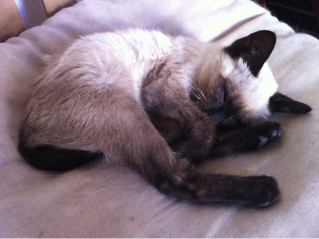 blogger-image-376436671-8225068