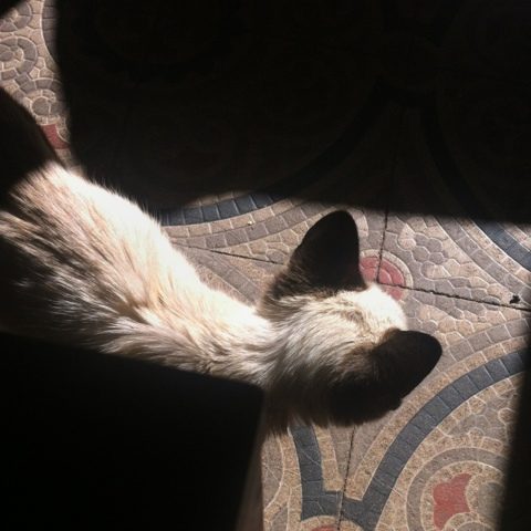 blogger-image-403757231-5169322