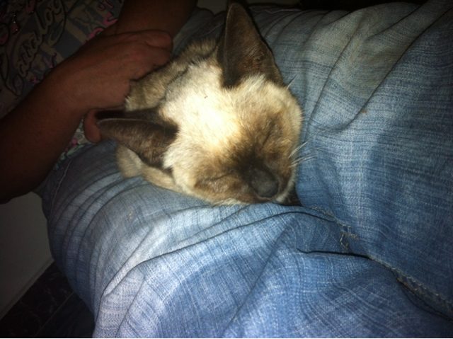 blogger-image-802155056-4343685