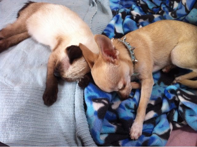 blogger-image-938812035-1200445