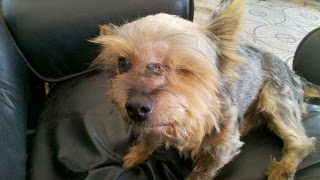 2013-09-0114-34-49-4330566