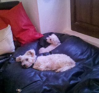 blog_sept271-6244730