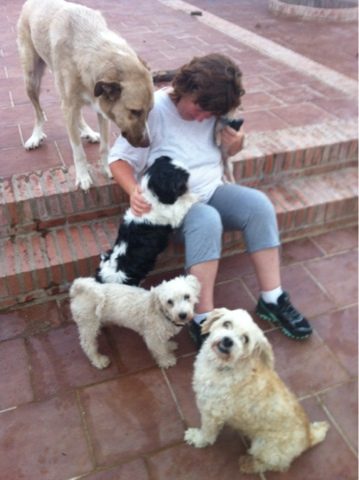 blogger-image-1024661488-9682436