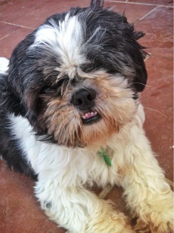 blogger-image-1102166858-3753228