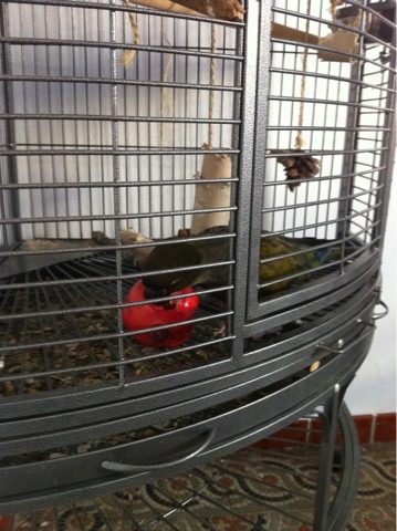 blogger-image-1202099753-5436770